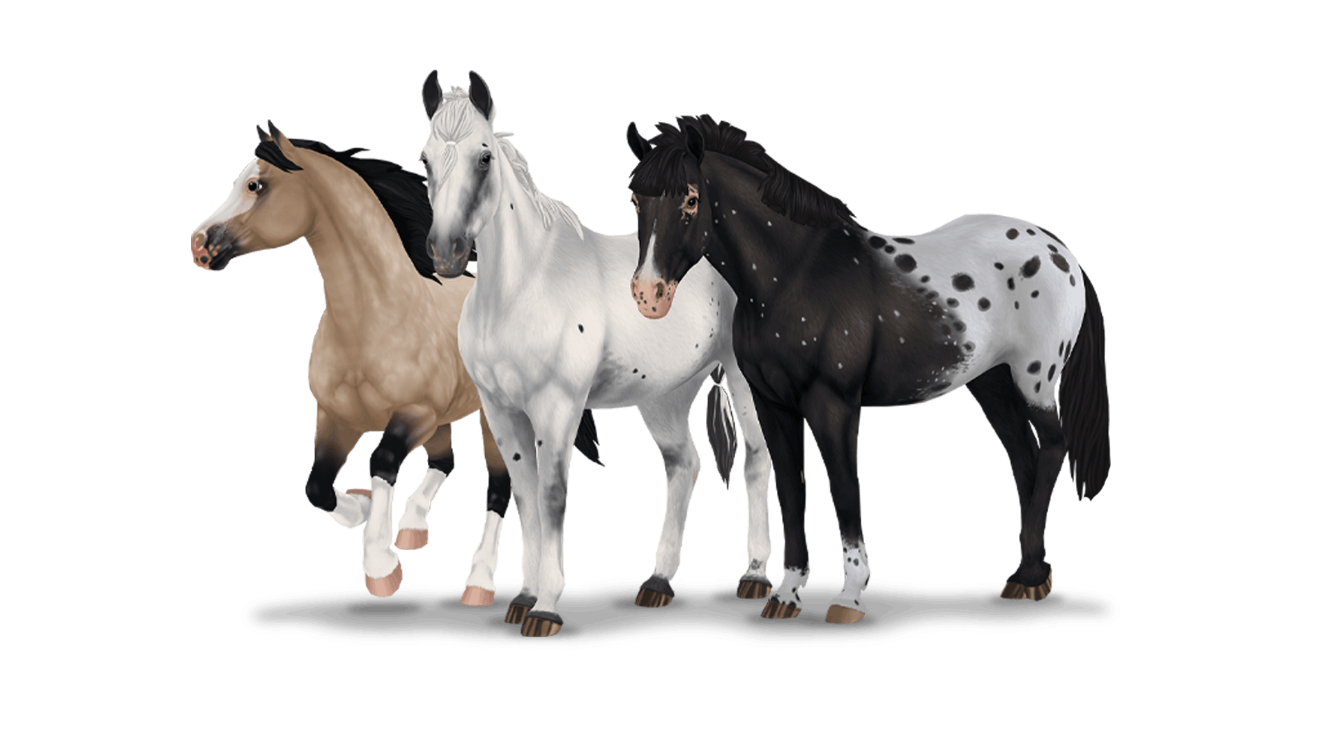 horses western 2023