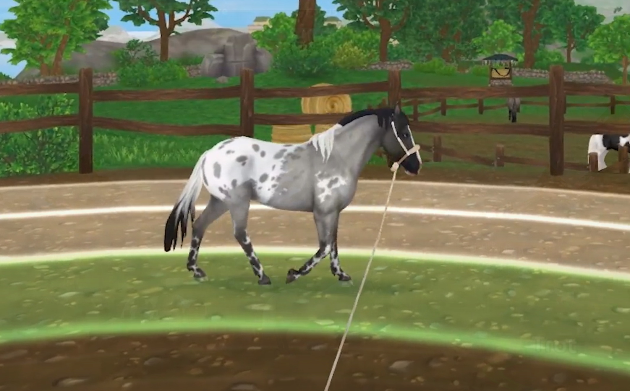 Lunging