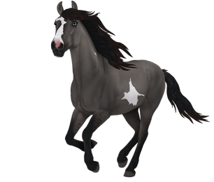 250 ideias de Star Stable em 2023  cavalos, jogos de cavalos, filhote de  lobo