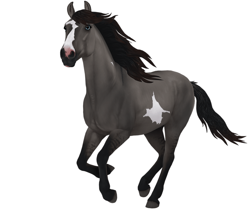 Where Are The Mustangs In Sso 2024 Casie Cynthia