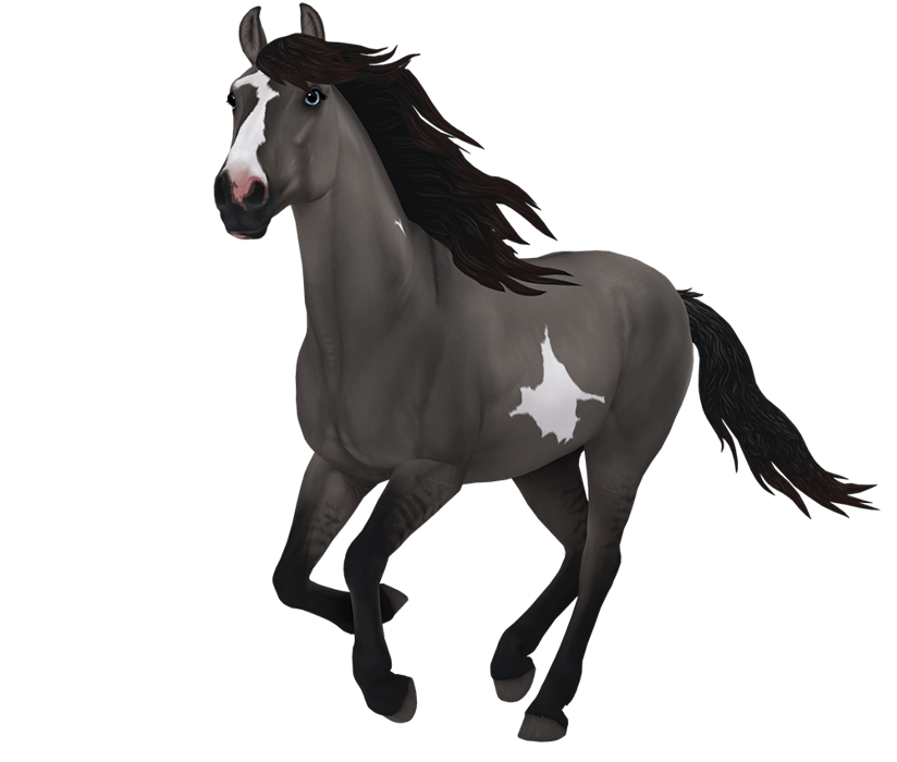 Mustang | Horse breed | Star Stable