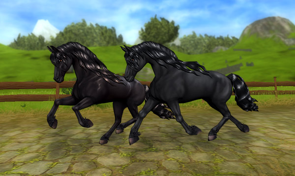 Fabulous Friesians!