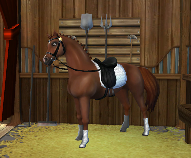 Nouvel équipement de dressage pour votre cheval!