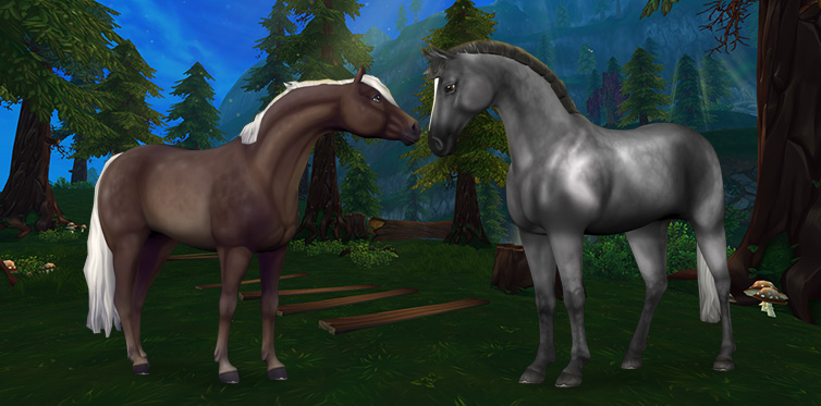 Nya vackra hästar!