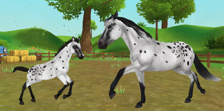 750 ideias de Star stable online cavalos