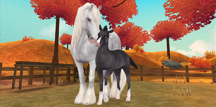 Hey StarFam! Nesta semana, - Star Stable Online Brasil