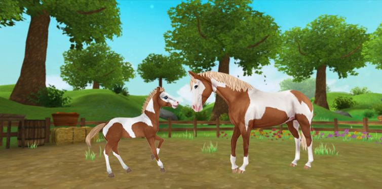 Hey StarFam! Nesta semana, - Star Stable Online Brasil