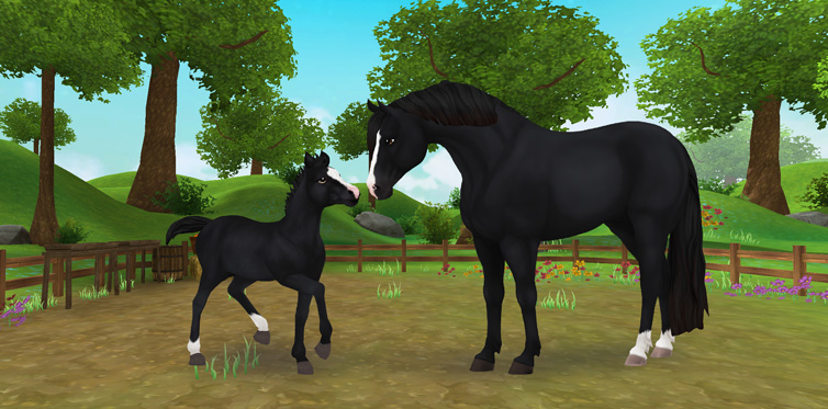 Hey StarFam! Nesta semana, - Star Stable Online Brasil