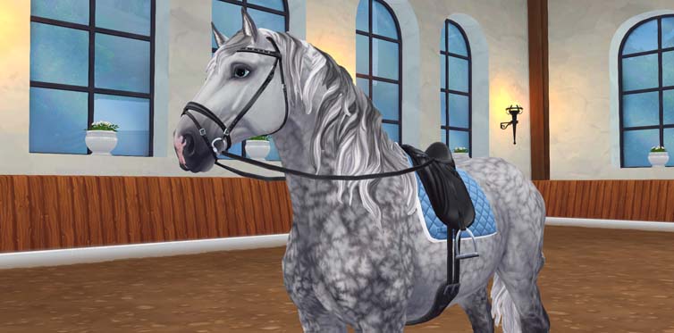 The Percheron can now wear this stunning dressage set!