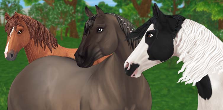 The American Quarter, American Paint, and Curly Horse are discounted for the next four weeks!