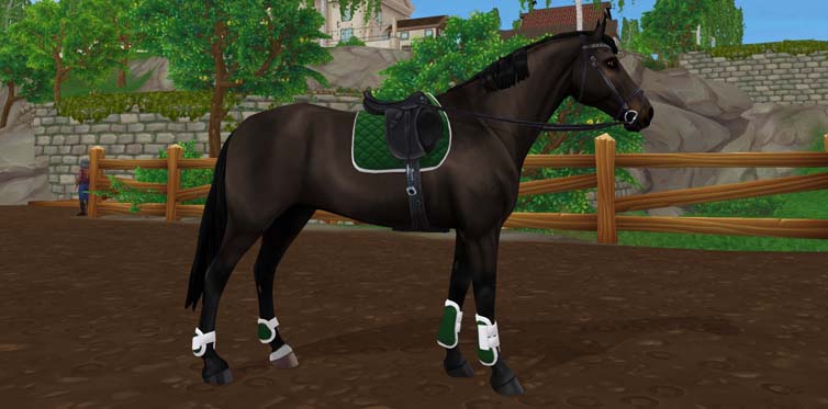 Skąd Wziąć Wiadro W Star Stable Are you All In for the Belgian Warmblood? | Star Stable