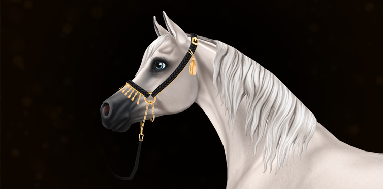¡Ronzales preciosos para tu caballo árabe!