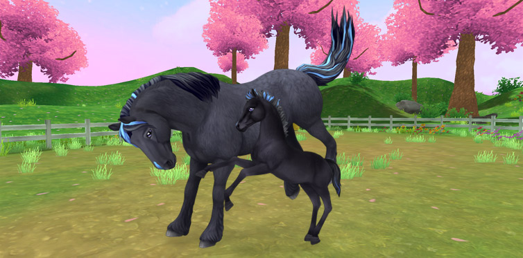 750 ideias de Star stable online cavalos