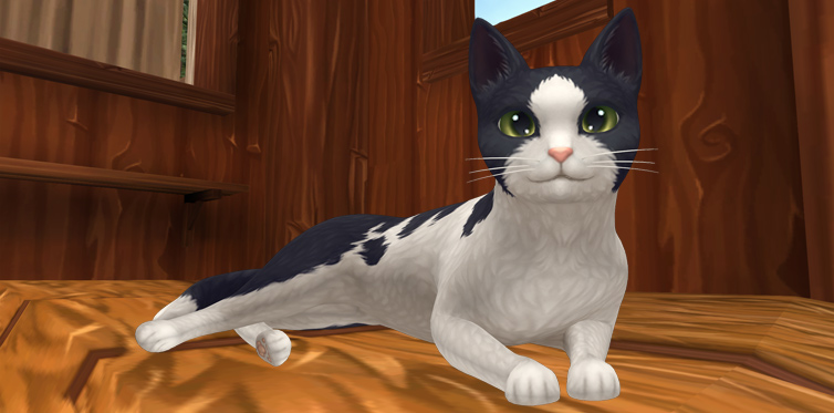Vad ska du döpa din nya kompis till? The Great Catsby? Catnip Everdeen?