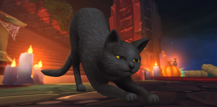 ¡Hazte con este gatito supermono en la Fortaleza de Galopero!