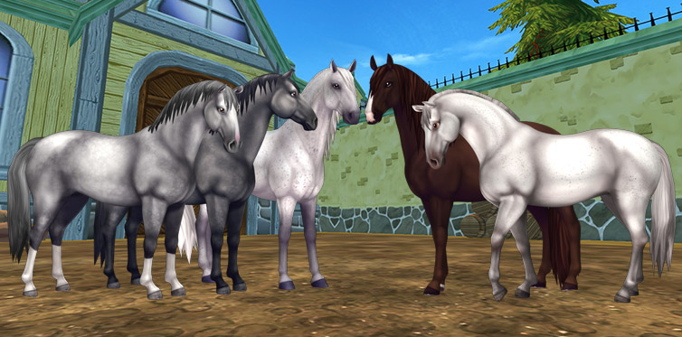 Vackra hästar tillgängliga under Öppet Hus-eventet!