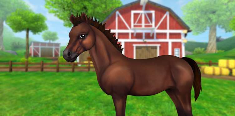 Vi vill veta vilka drömföl ni skulle vilja se i Star Stable Horses!