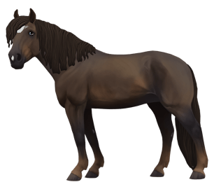 Finnhorse variation 1