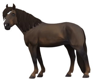 250 ideias de Star Stable em 2023  cavalos, jogos de cavalos, filhote de  lobo