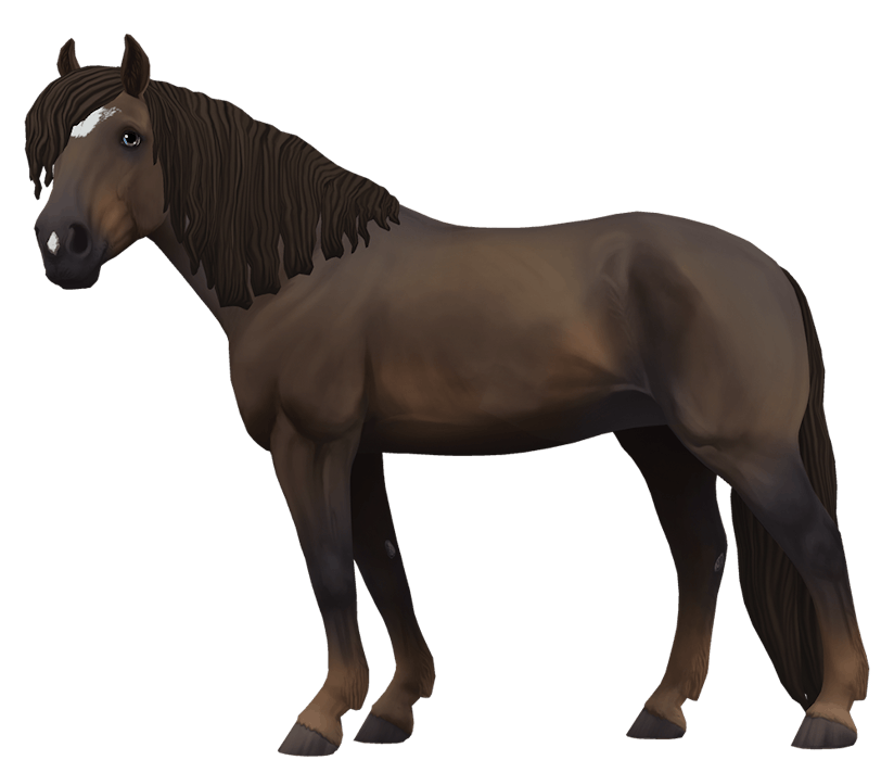 Finnhorse variation 1