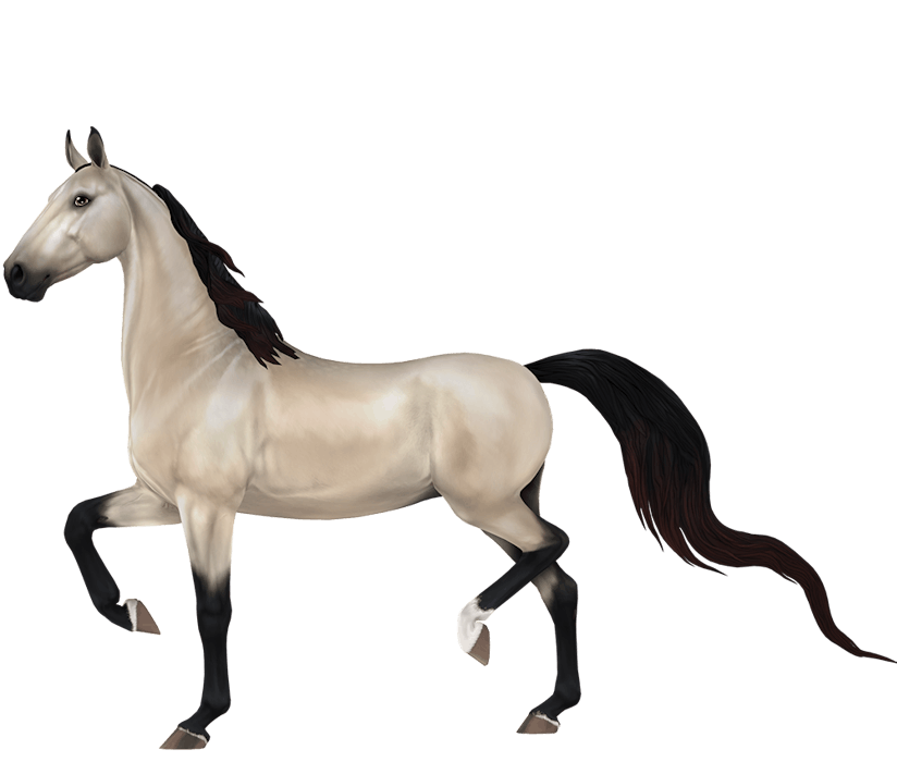 american-saddlebred-horse-breed-star-stable