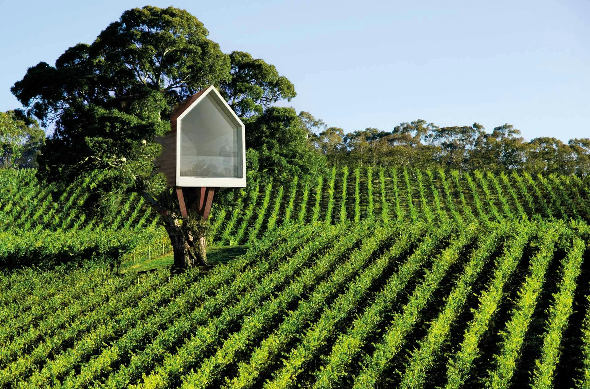 Casa sull'albero