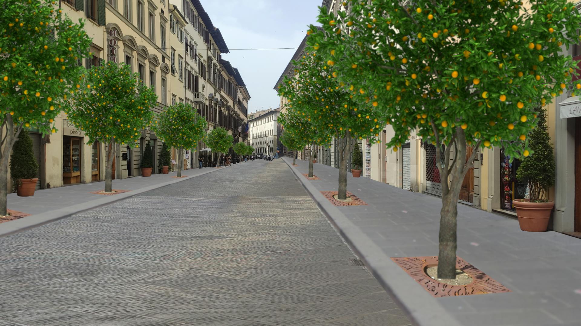 Agrumi in via Cavour
