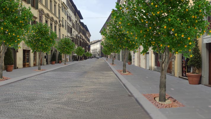 Agrumi in via Cavour