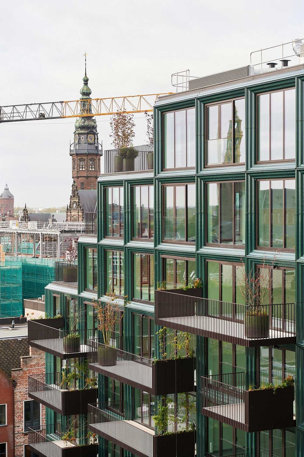 Mercado, Groningen, De Zwarte Hond