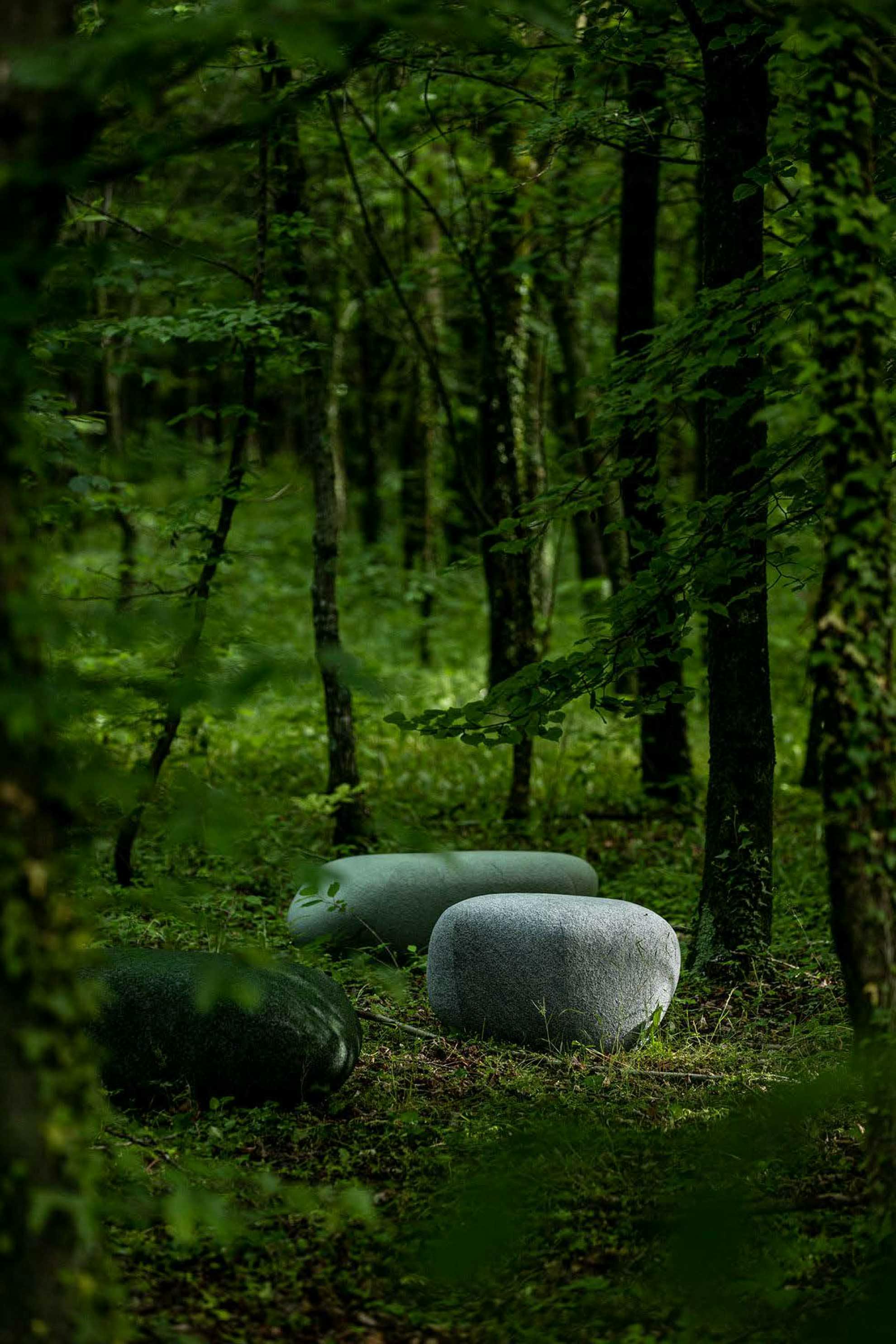 Forest wandering
