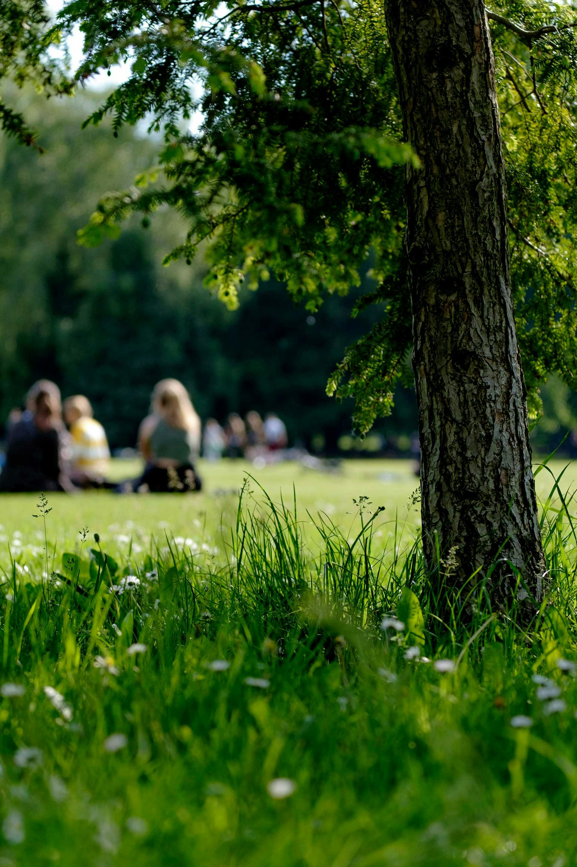 Parco delle Cascine con persone