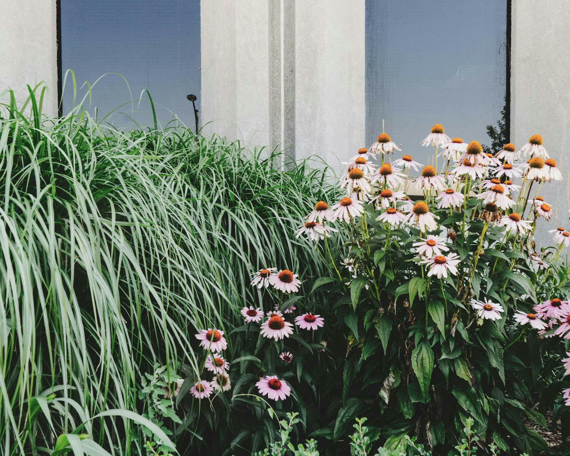 giardino moderno