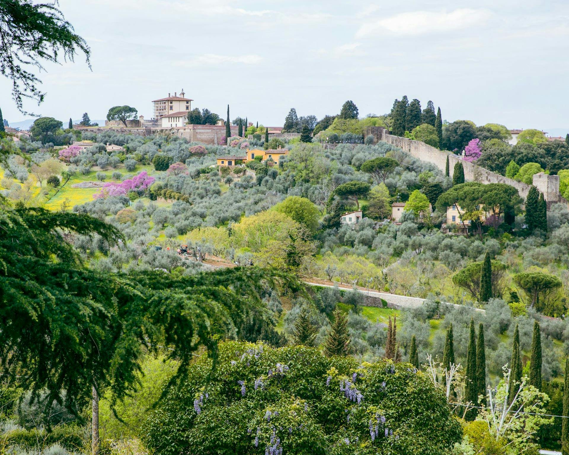 Vista sulla collina della Fortezza Belvedere a Firenze