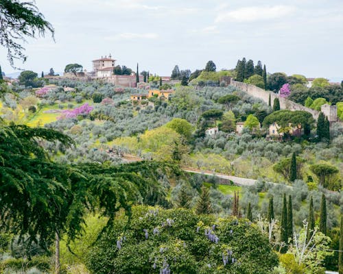 Vista sulla collina della Fortezza Belvedere a Firenze