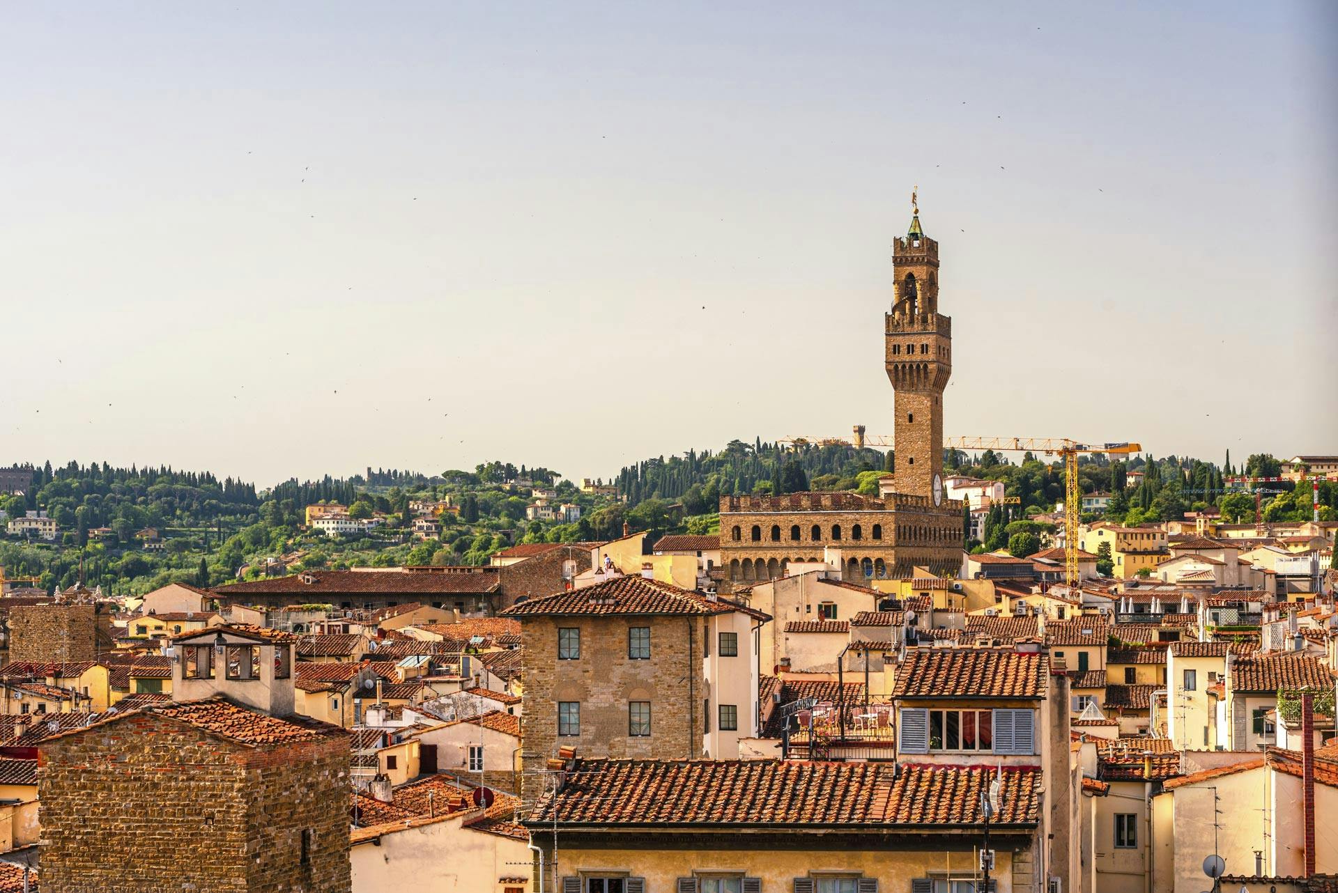 Vista sui tetti di Firenze