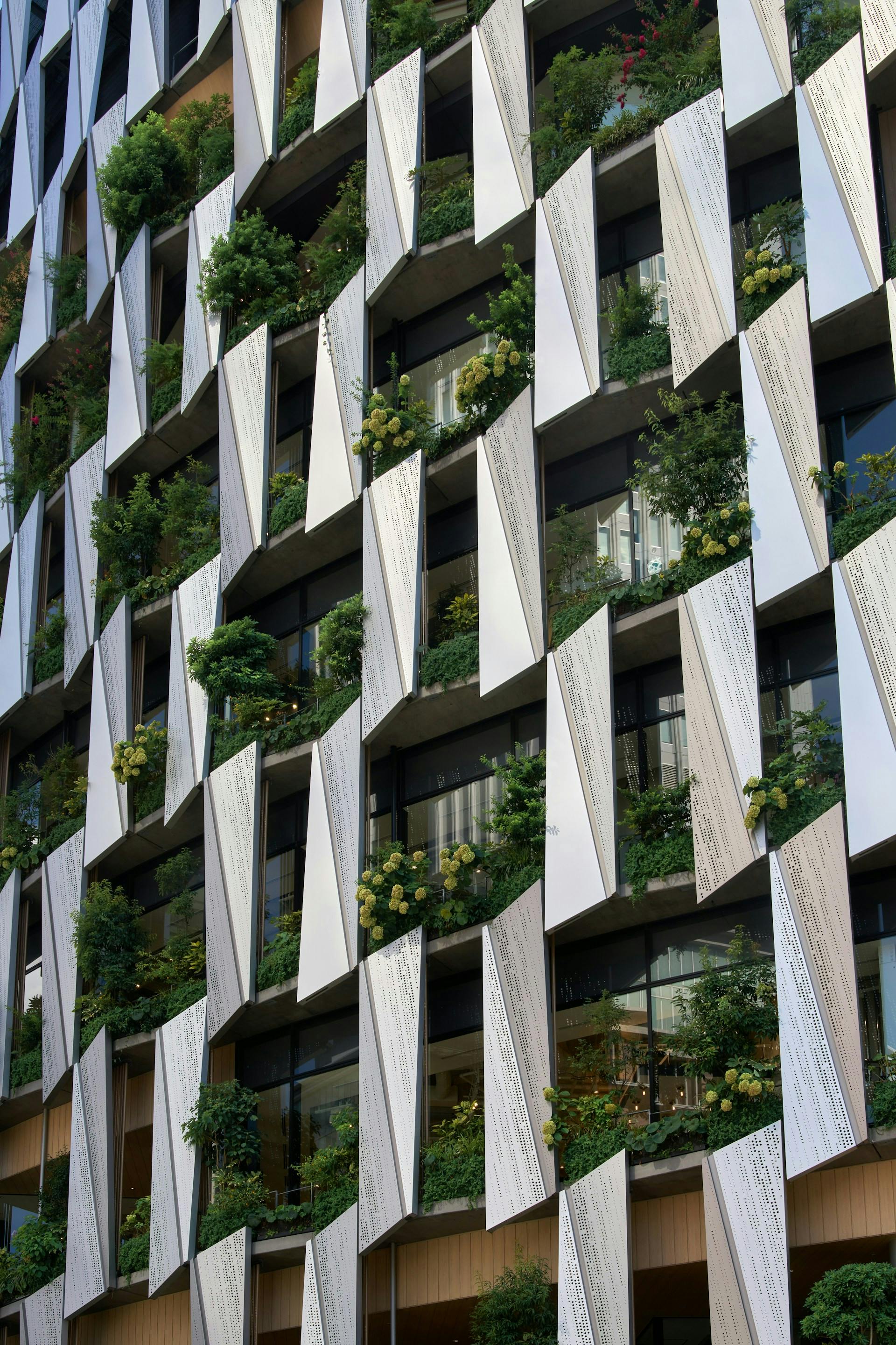 Facciata edificio con verde