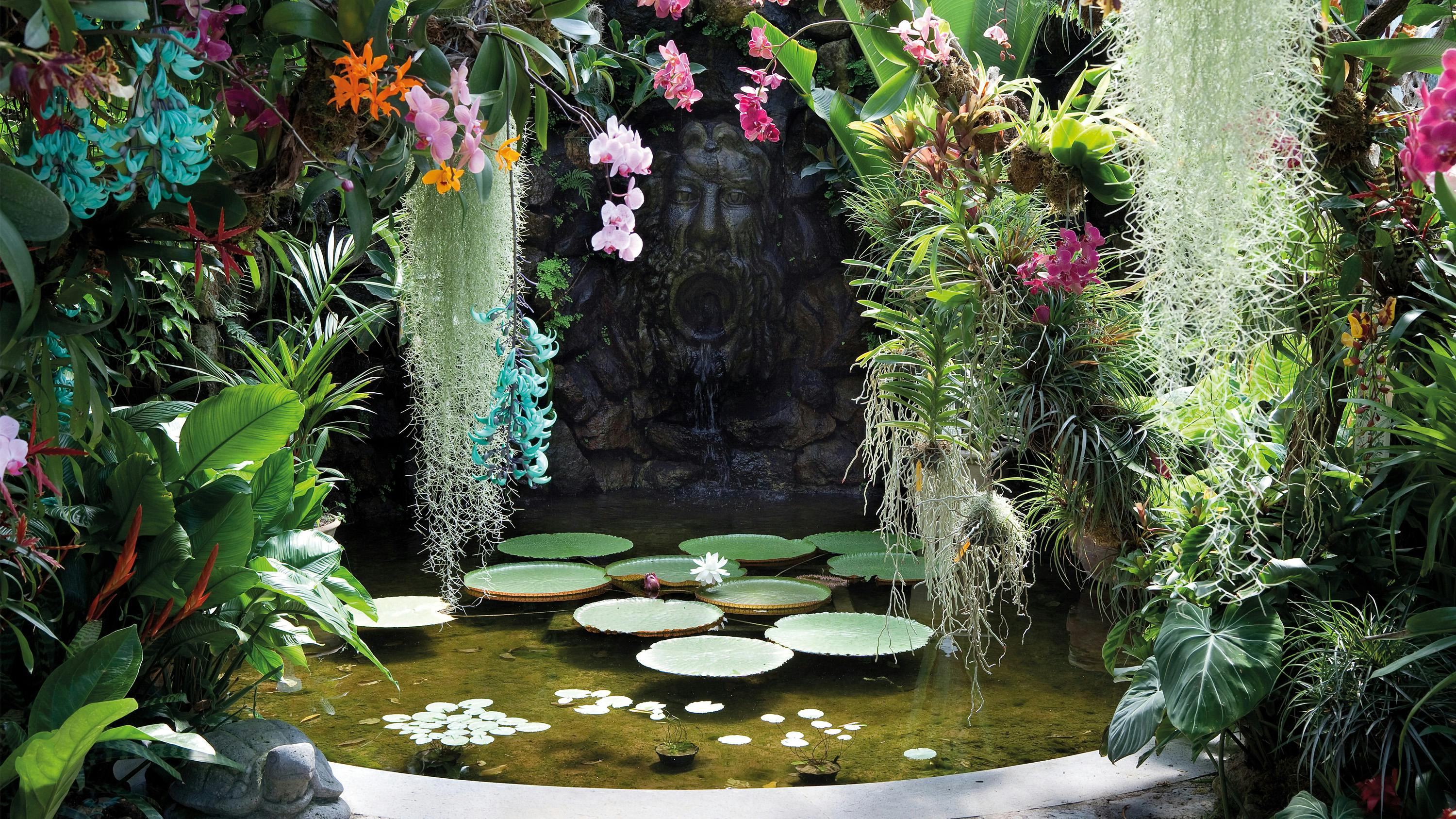 Giardini La Mortella, Forio d’Ischia - Isola d’Ischia (Napoli)