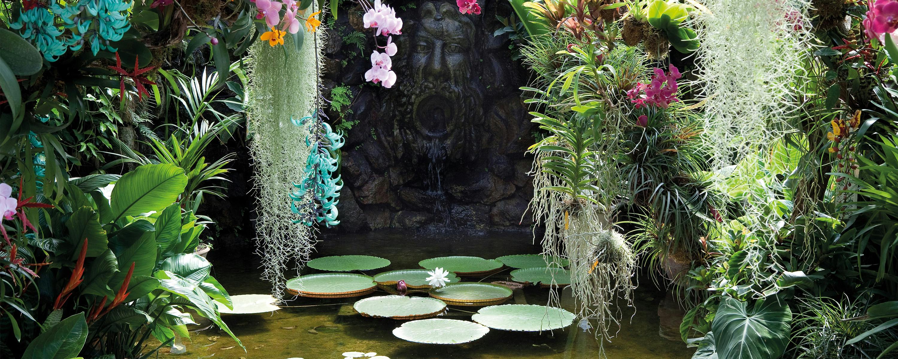 Giardini La Mortella, Forio d’Ischia - Isola d’Ischia (Napoli) Giardini La Mortella, Forio d’Ischia - Isola d’Ischia (Napoli)