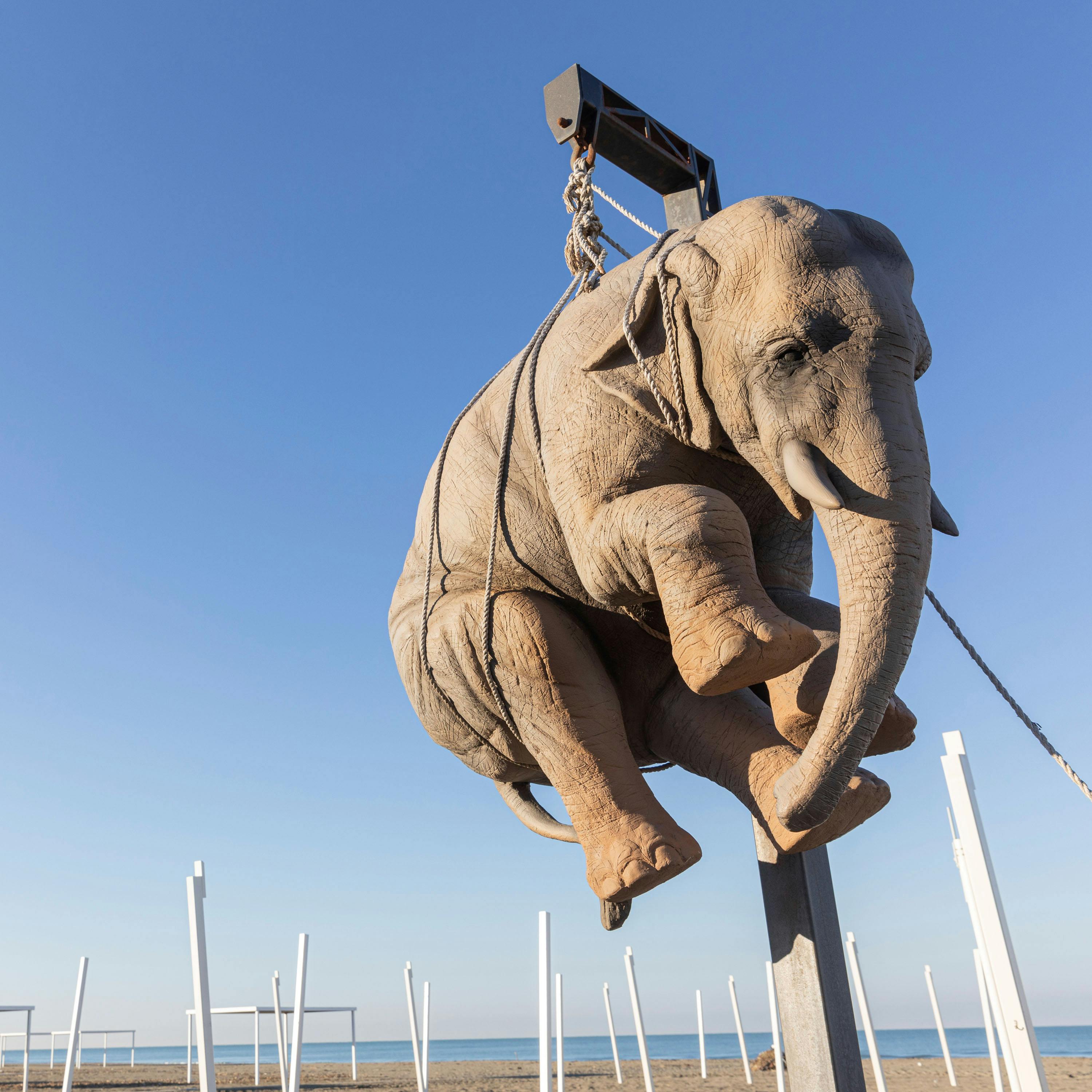 Stefano Bombardieri, Elia e l'elefante (particolare)