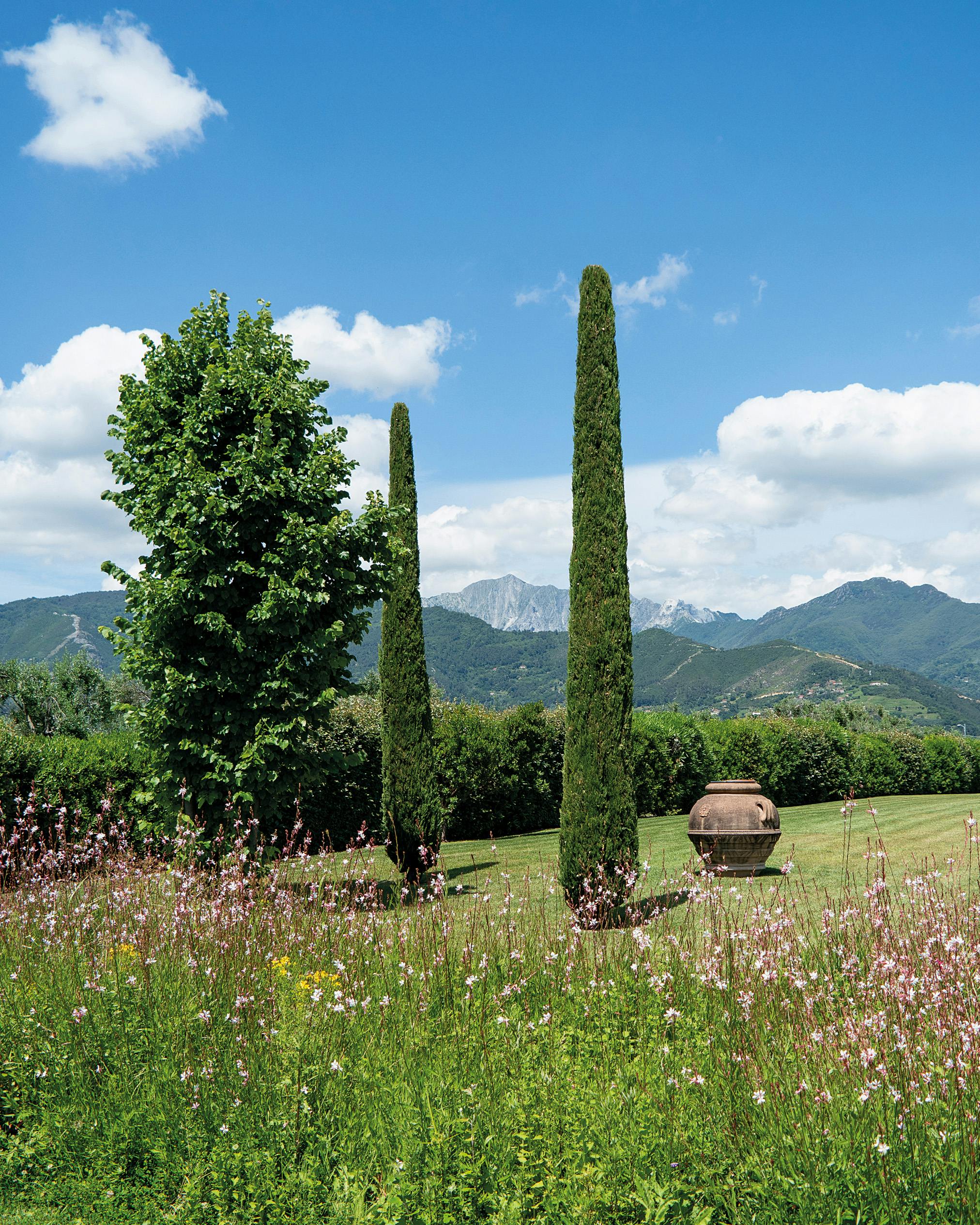 Bibolotti Garden