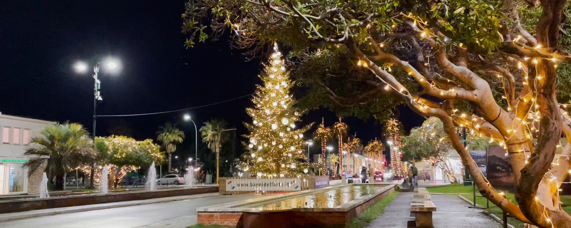 Waiting for Christmas Waiting for Christmas