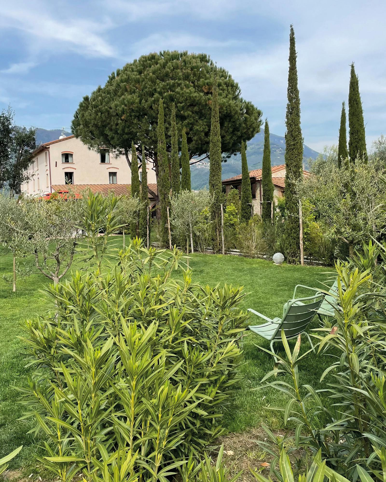 Paradis Agricole Pietrasanta