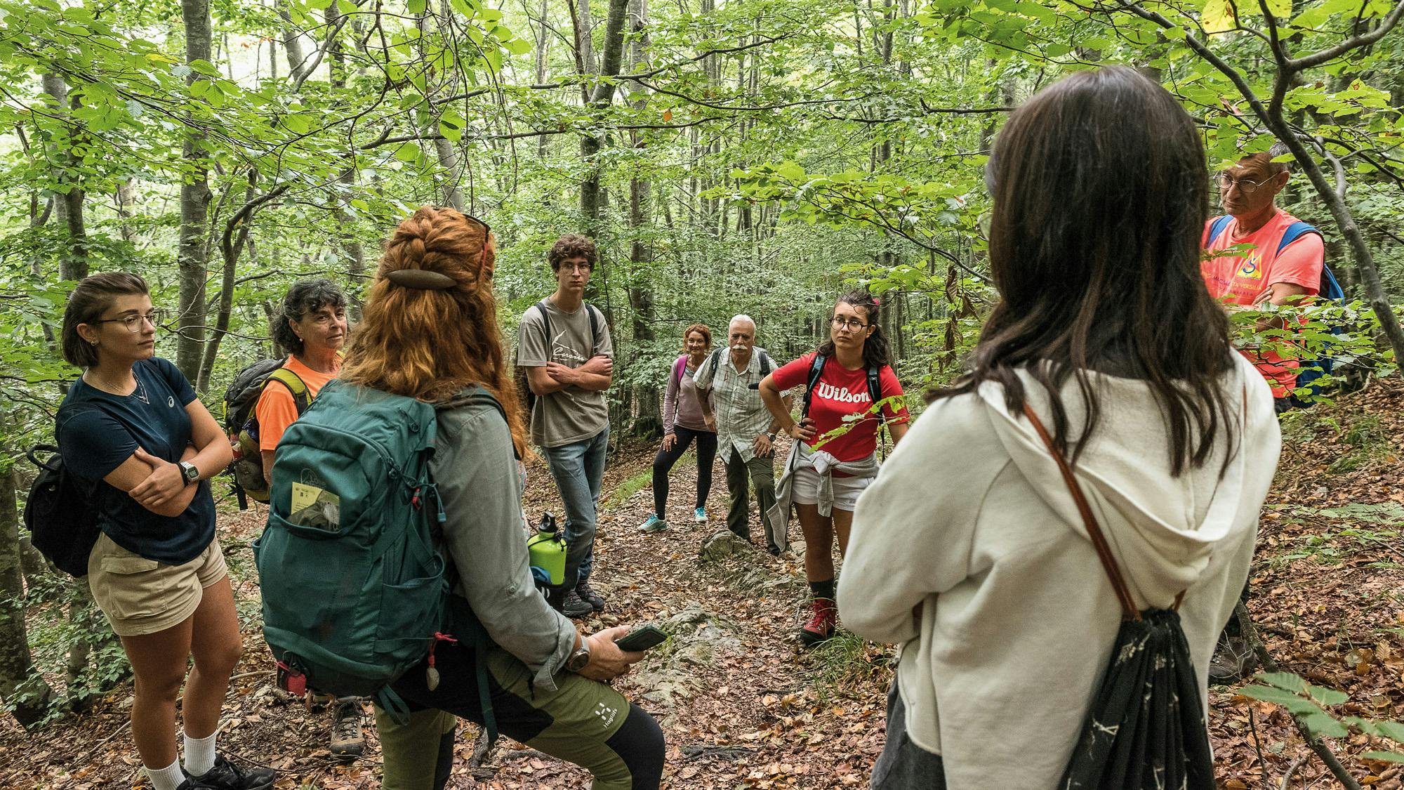 Terapia forestale nei boschi dell'Alta Versilia