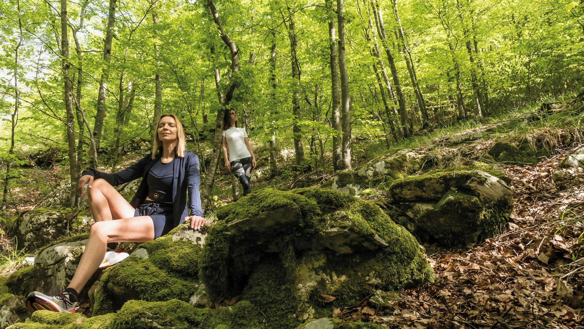Terapia forestale nei boschi dell'Alta Versilia