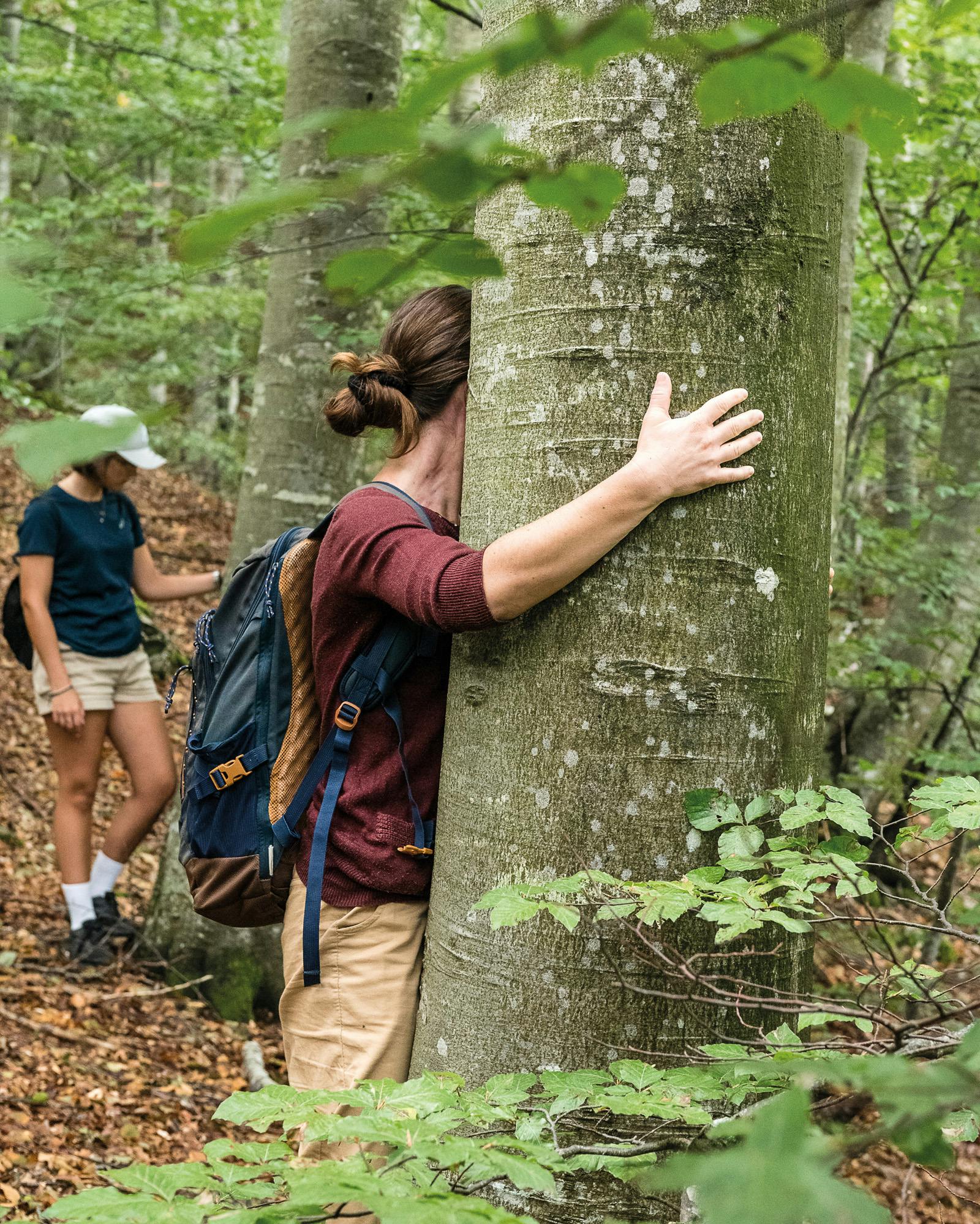 Terapia forestale nei boschi dell'Alta Versilia