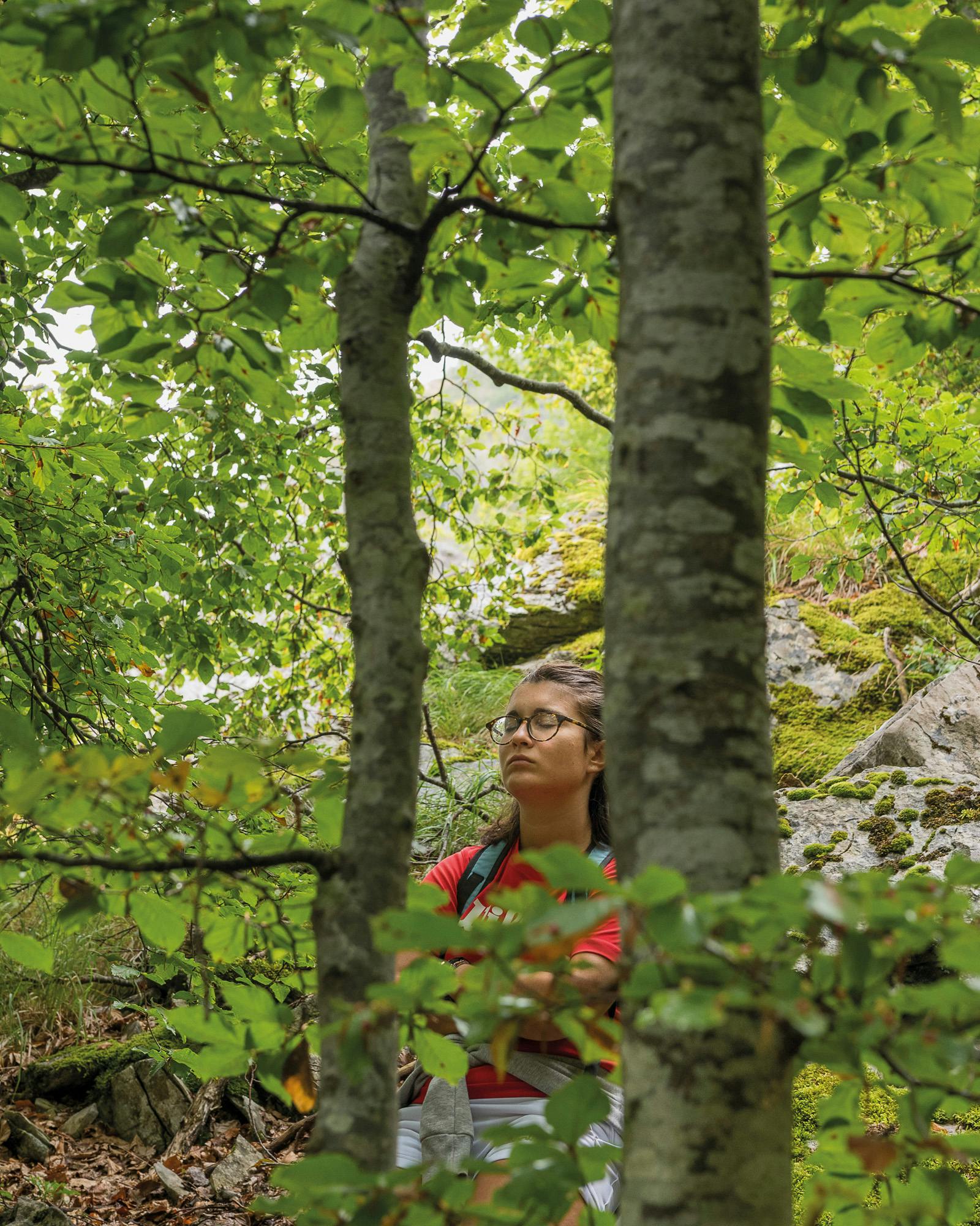 Terapia forestale nei boschi dell'Alta Versilia