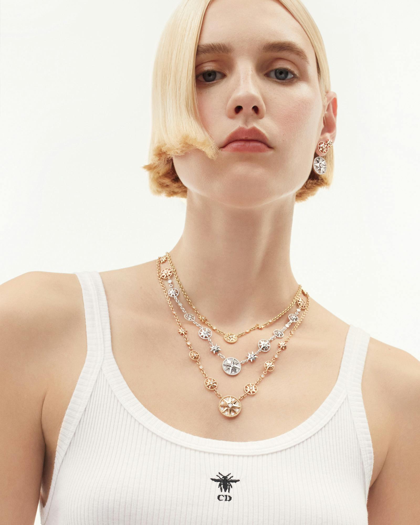 Dior Rose des vents