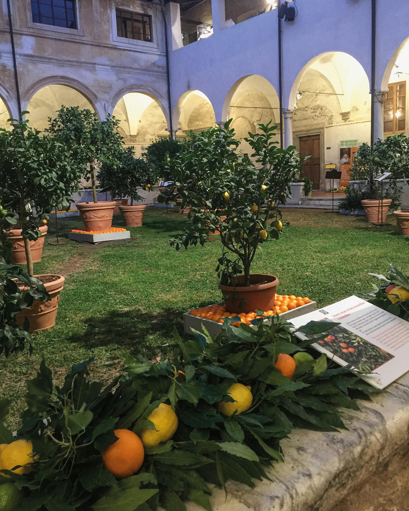 L'Agrumeta (Pietrasanta)