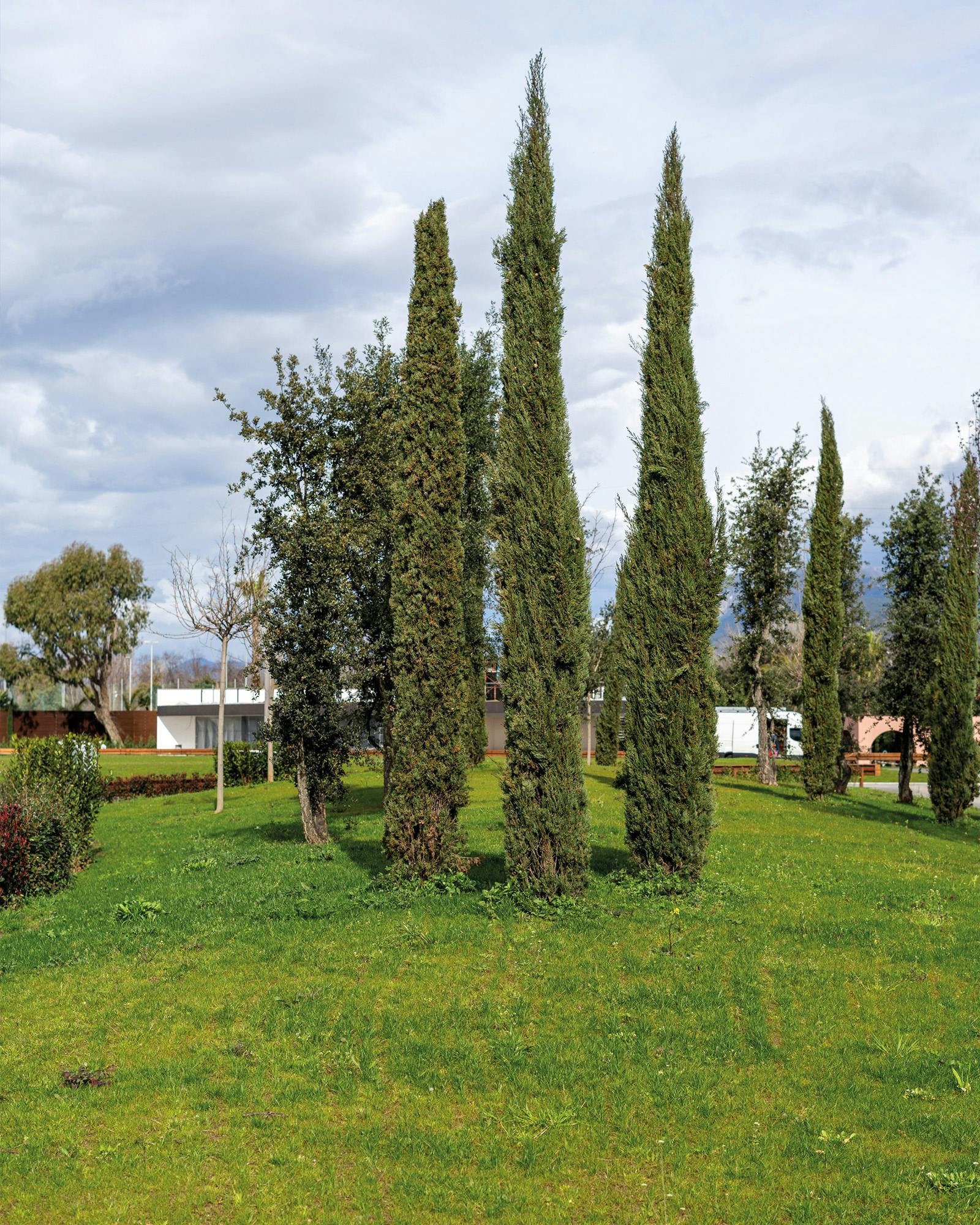 Bibolotti Garden