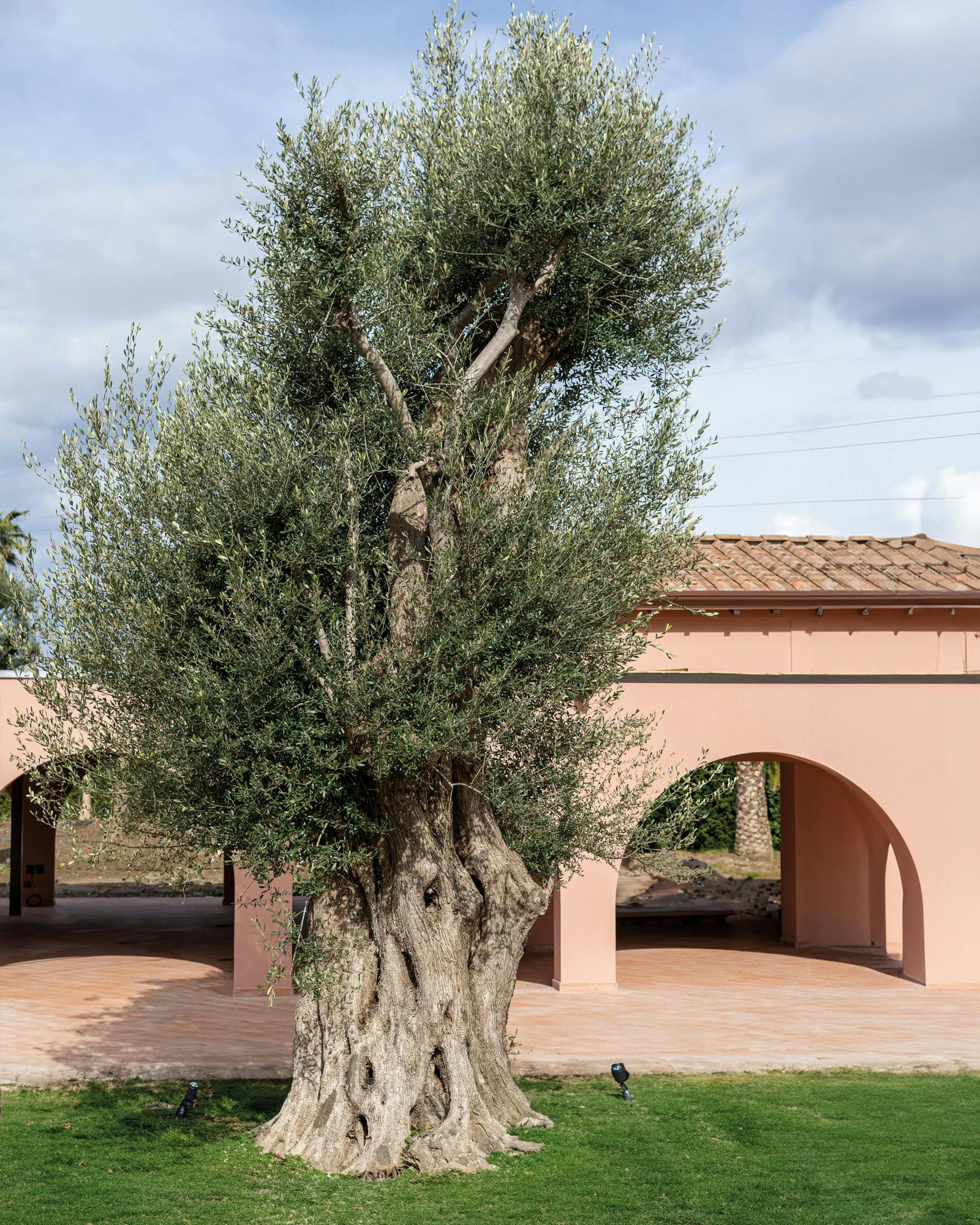Bibolotti Garden